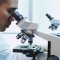 Laboratory Analysis