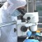 Circuit Board Detection